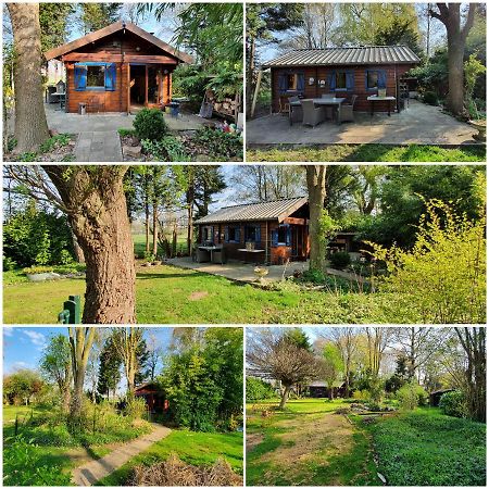 Chalet In Paradise Garden فيلدين المظهر الخارجي الصورة