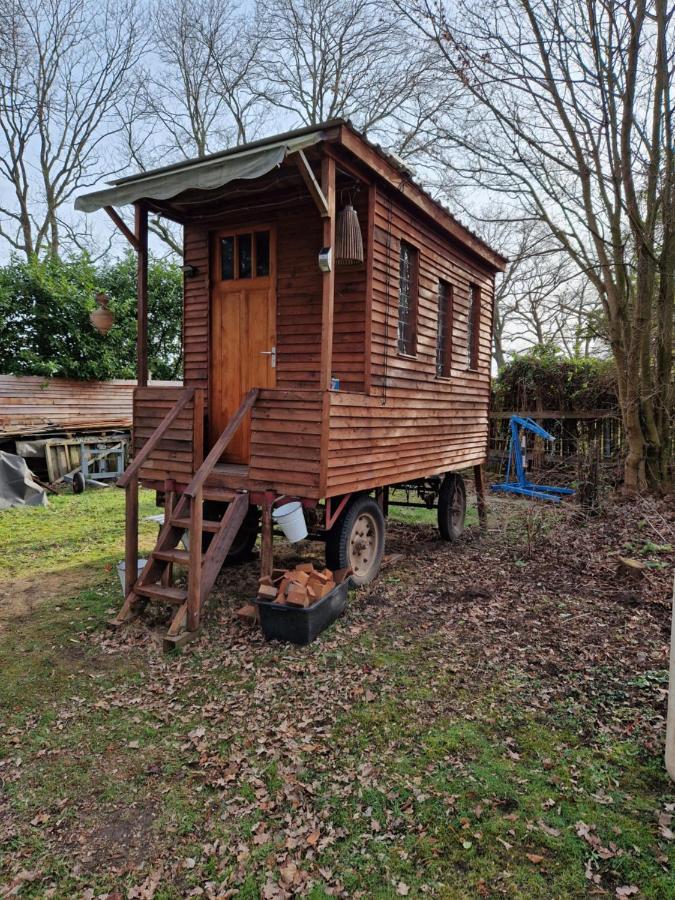 Chalet In Paradise Garden فيلدين المظهر الخارجي الصورة